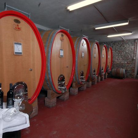Agriturismo I Grappoli 塞拉伦加·达尔巴 外观 照片
