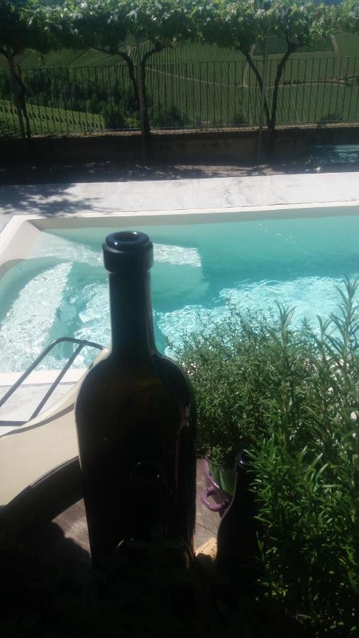 Agriturismo I Grappoli 塞拉伦加·达尔巴 外观 照片
