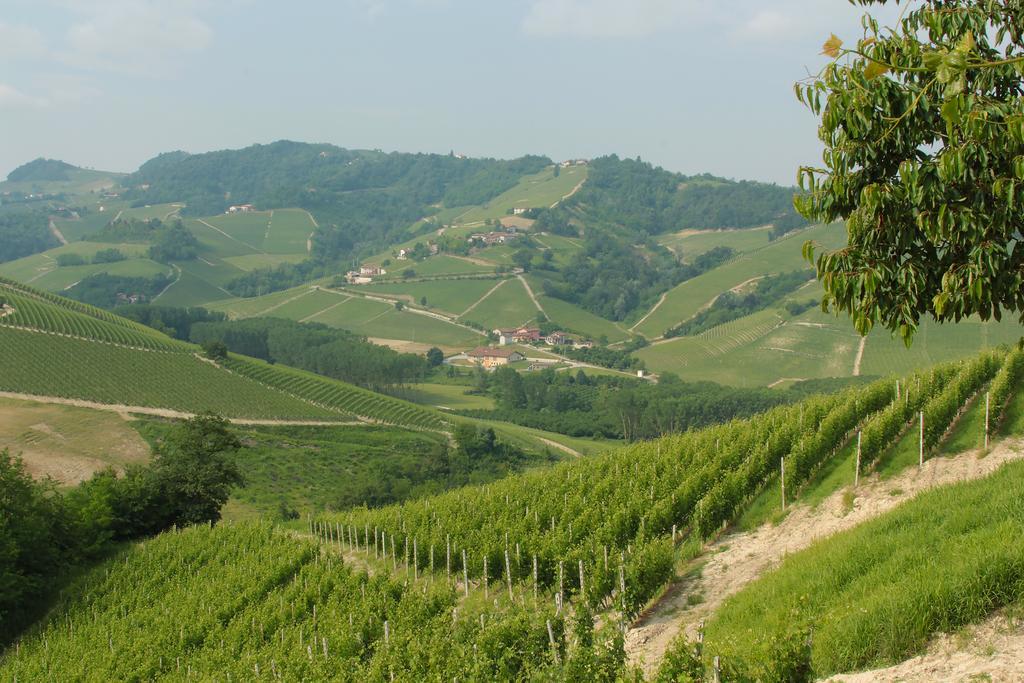 Agriturismo I Grappoli 塞拉伦加·达尔巴 客房 照片