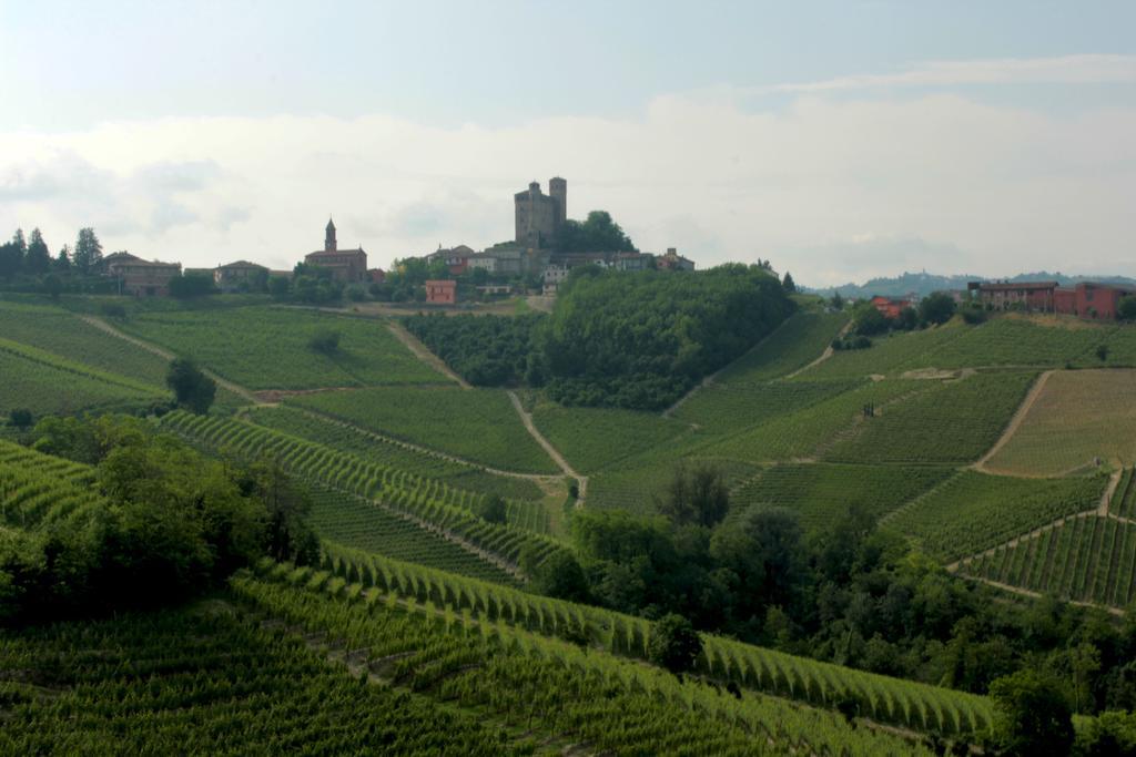 Agriturismo I Grappoli 塞拉伦加·达尔巴 外观 照片