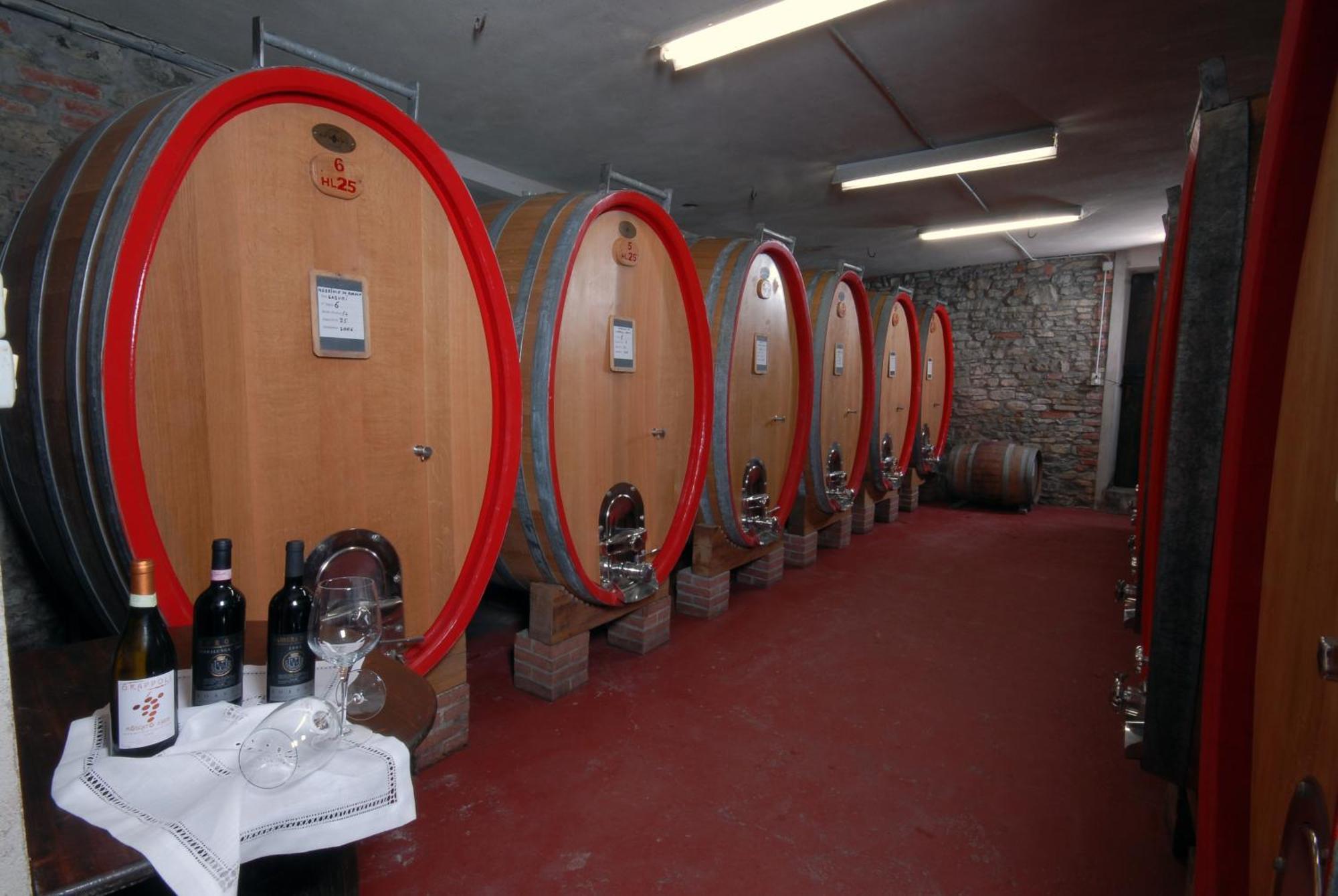 Agriturismo I Grappoli 塞拉伦加·达尔巴 外观 照片