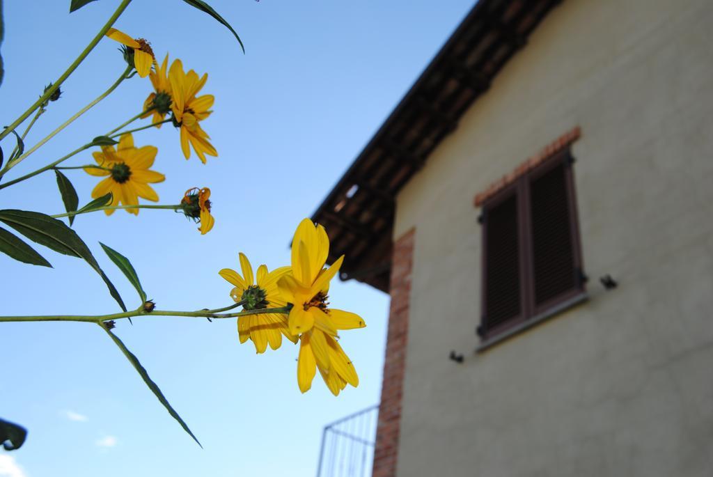 Agriturismo I Grappoli 塞拉伦加·达尔巴 外观 照片