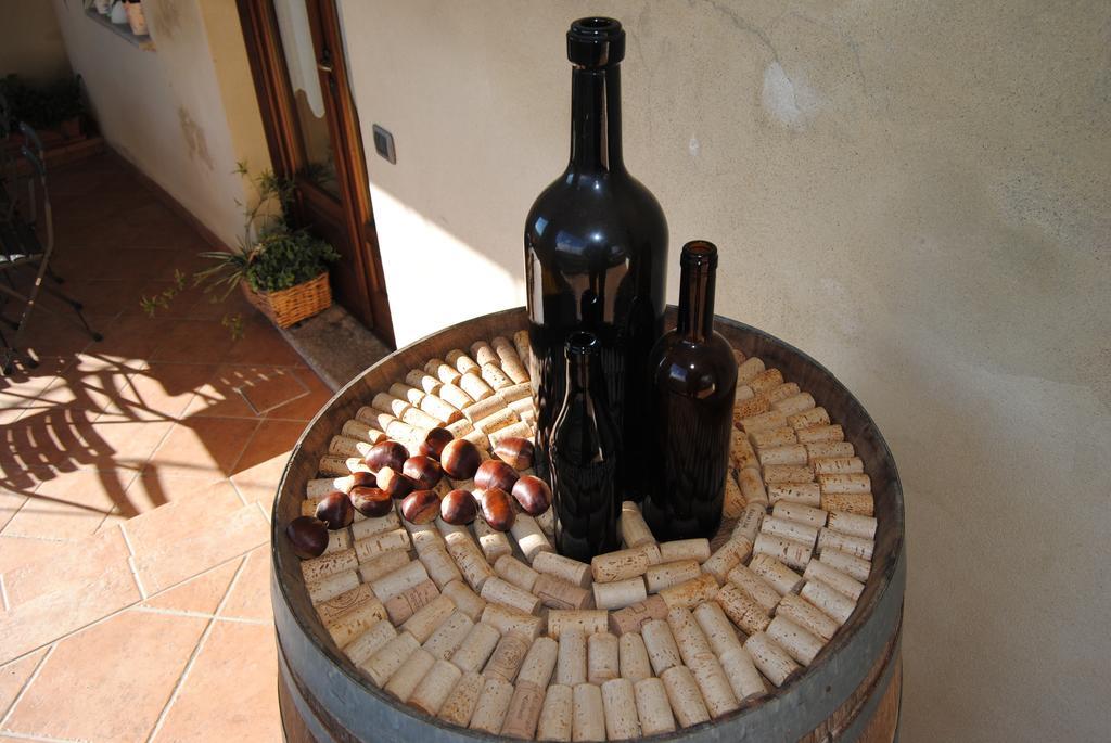 Agriturismo I Grappoli 塞拉伦加·达尔巴 外观 照片