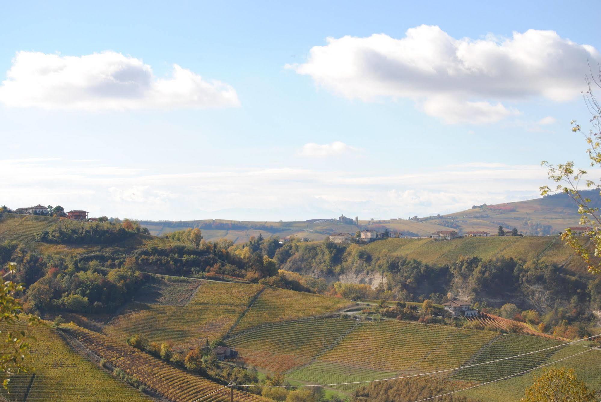 Agriturismo I Grappoli 塞拉伦加·达尔巴 外观 照片