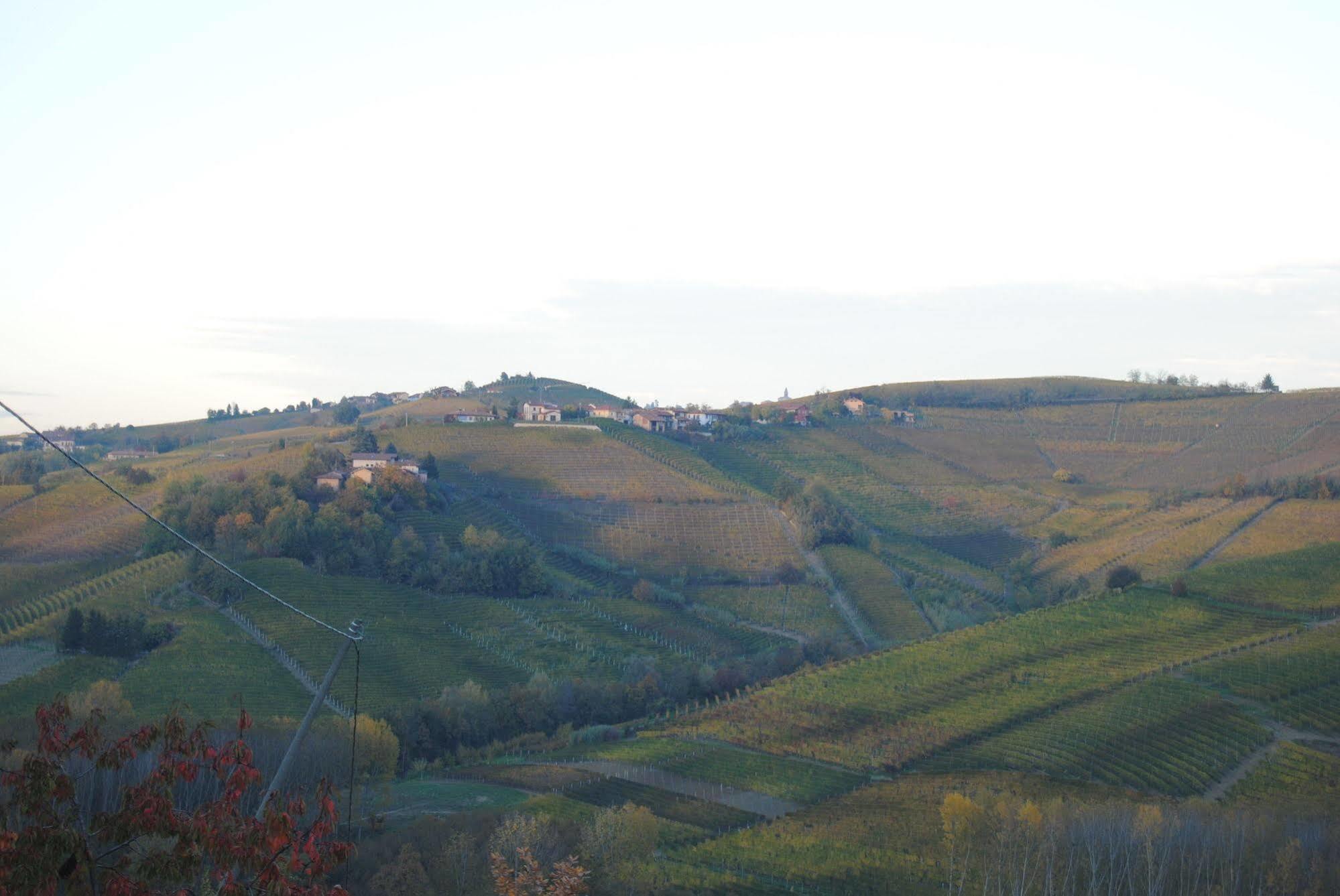 Agriturismo I Grappoli 塞拉伦加·达尔巴 外观 照片