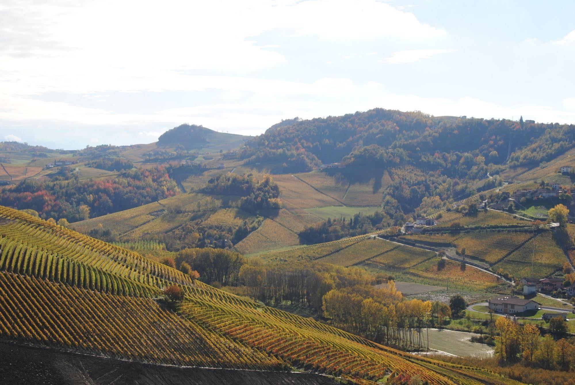 Agriturismo I Grappoli 塞拉伦加·达尔巴 外观 照片