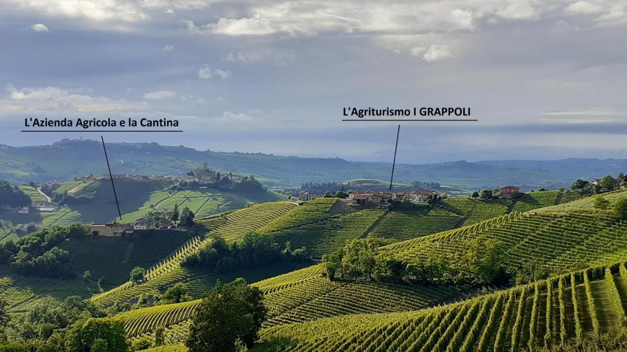 Agriturismo I Grappoli 塞拉伦加·达尔巴 外观 照片